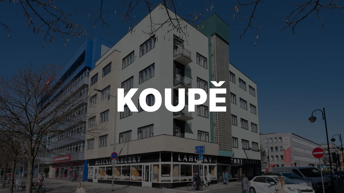 Zastupování při koupi